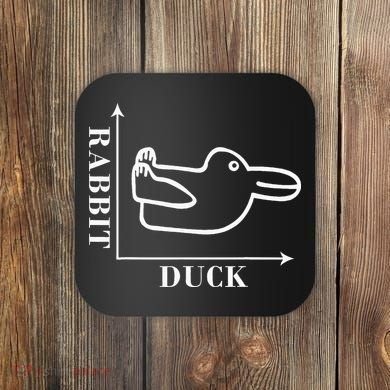 Philosophy Wittgenstein Rabbit Duck Illusion Coaster