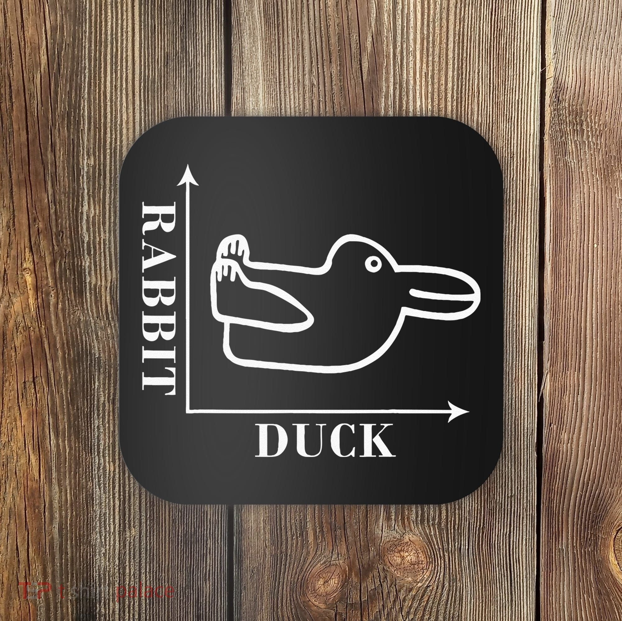 Philosophy Wittgenstein Rabbit Duck Illusion Coaster