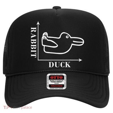 Philosophy Wittgenstein Rabbit Duck Illusion Hat
