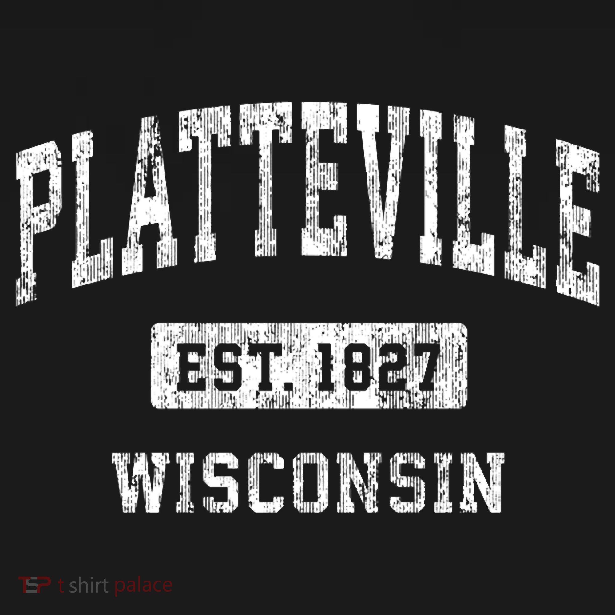Platteville Wisconsin Wi Vintage Sports Established T-Shirt