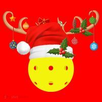 Pickleball Xmas Gift Reindeer Santa Hat Pickleball Christmas TShirt Santa Hat thumb 1