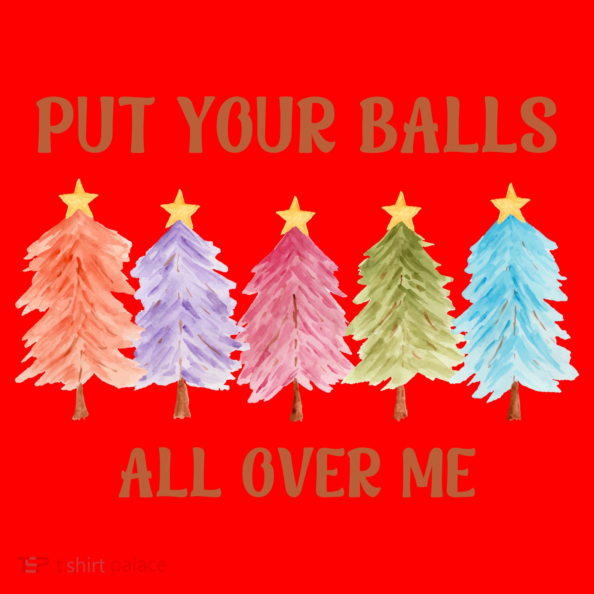 Put Your Balls All Over Me Funny Offensive Xmas Santa Hat