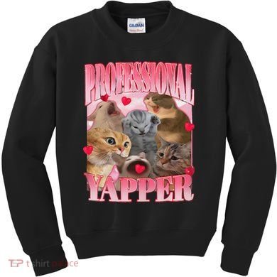 Professional Yapper Cat Funny Oddly Specific Dank Meme Kids Sweatshirt