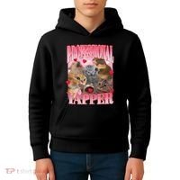 Professional Yapper Cat Funny Oddly Specific Dank Meme Kids Hoodie thumb 4