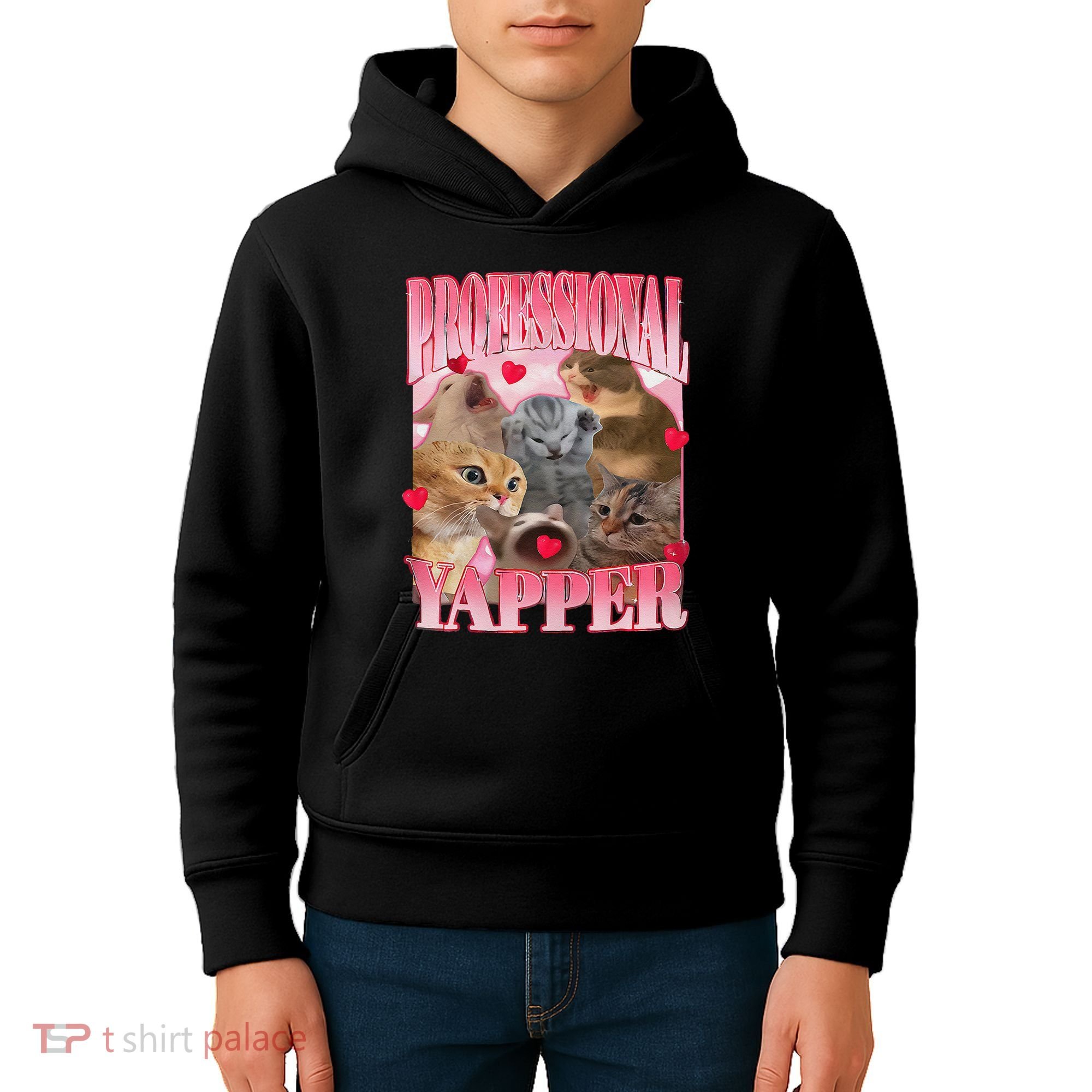 Professional Yapper Cat Funny Oddly Specific Dank Meme Kids Hoodie
