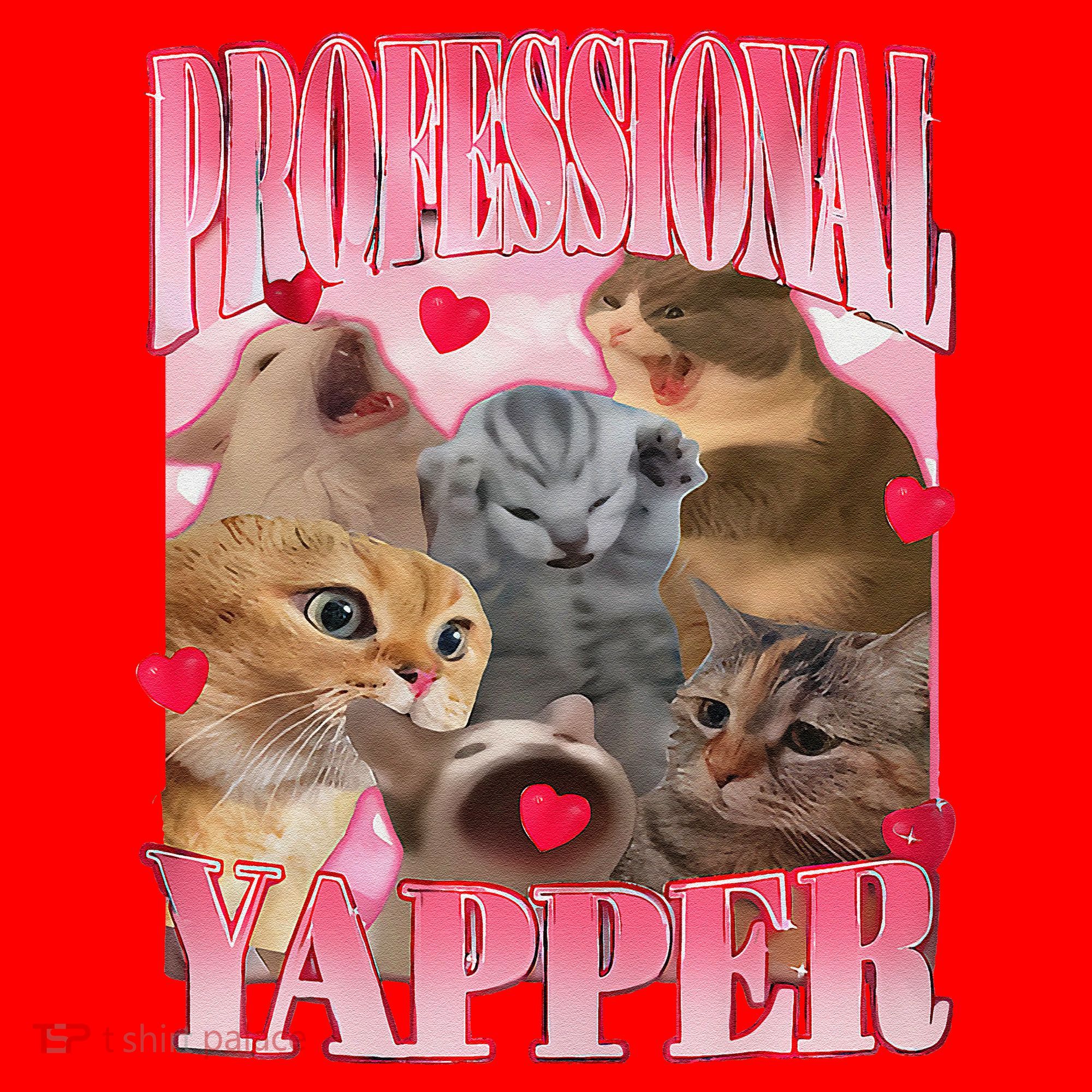 Professional Yapper Cat Funny Oddly Specific Dank Meme Santa Hat
