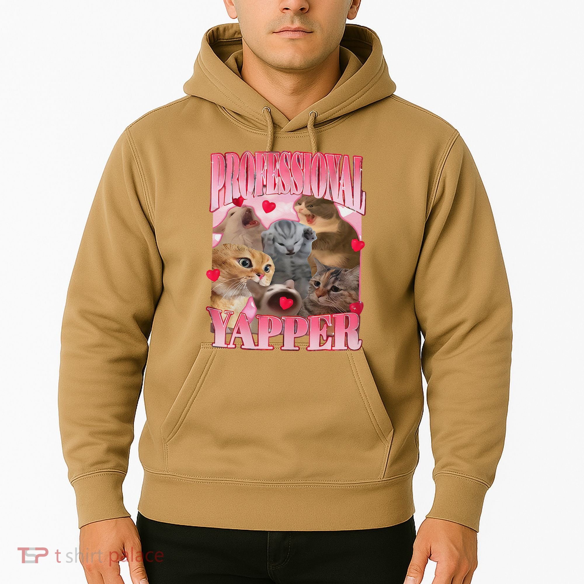 Professional Yapper Cat Funny Oddly Specific Dank Meme Hoodie