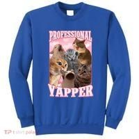Professional Yapper Cat Meme Goofy Ahh Ironic Cat Sweatshirt thumb 0