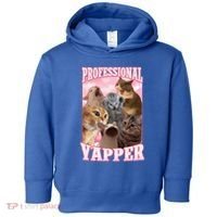 Professional Yapper Cat Meme Goofy Ahh Ironic Cat Toddler Hoodie thumb 0