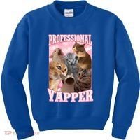 Professional Yapper Cat Meme Goofy Ahh Ironic Cat Kids Sweatshirt thumb 0