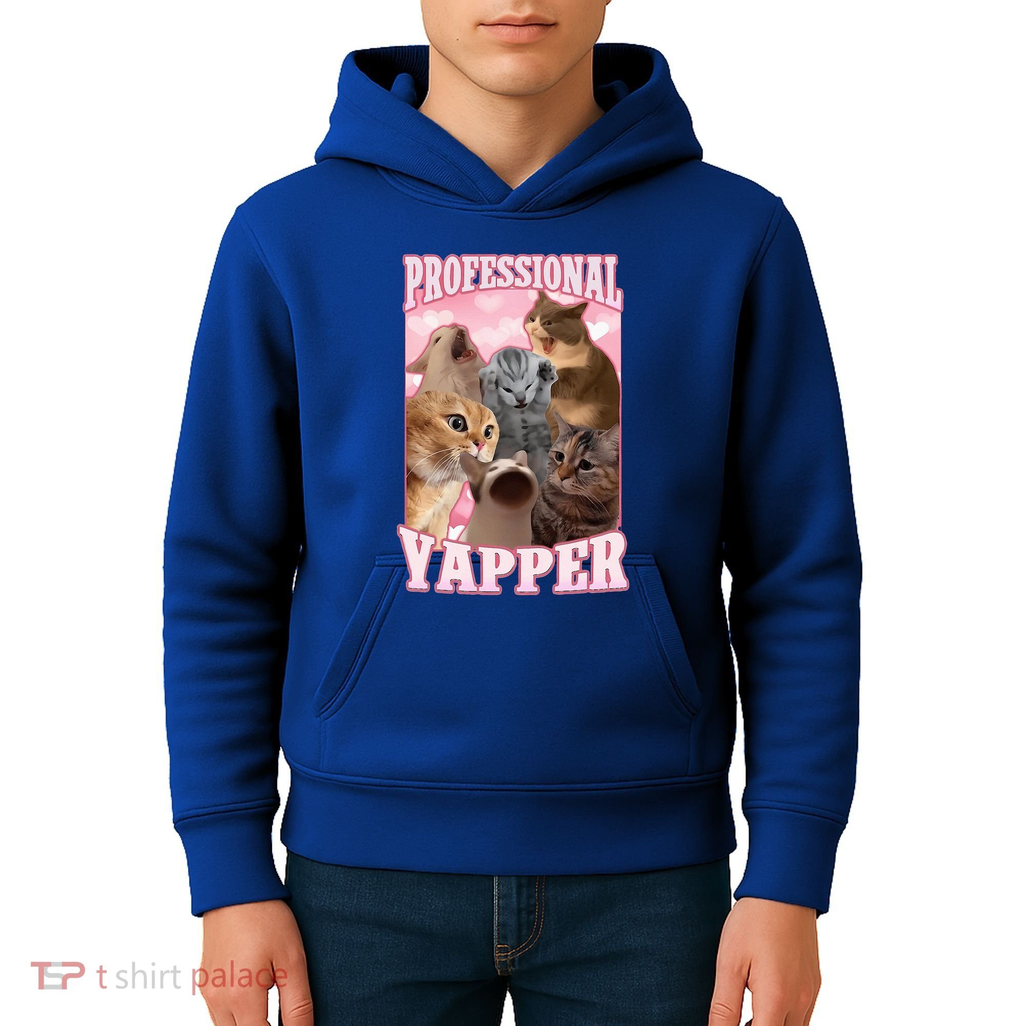 Professional Yapper Cat Meme Goofy Ahh Ironic Cat Kids Hoodie