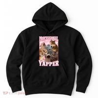 Professional Yapper Funny Cat Meme Goofy Ahh Ironic Cat Hoodie thumb 0