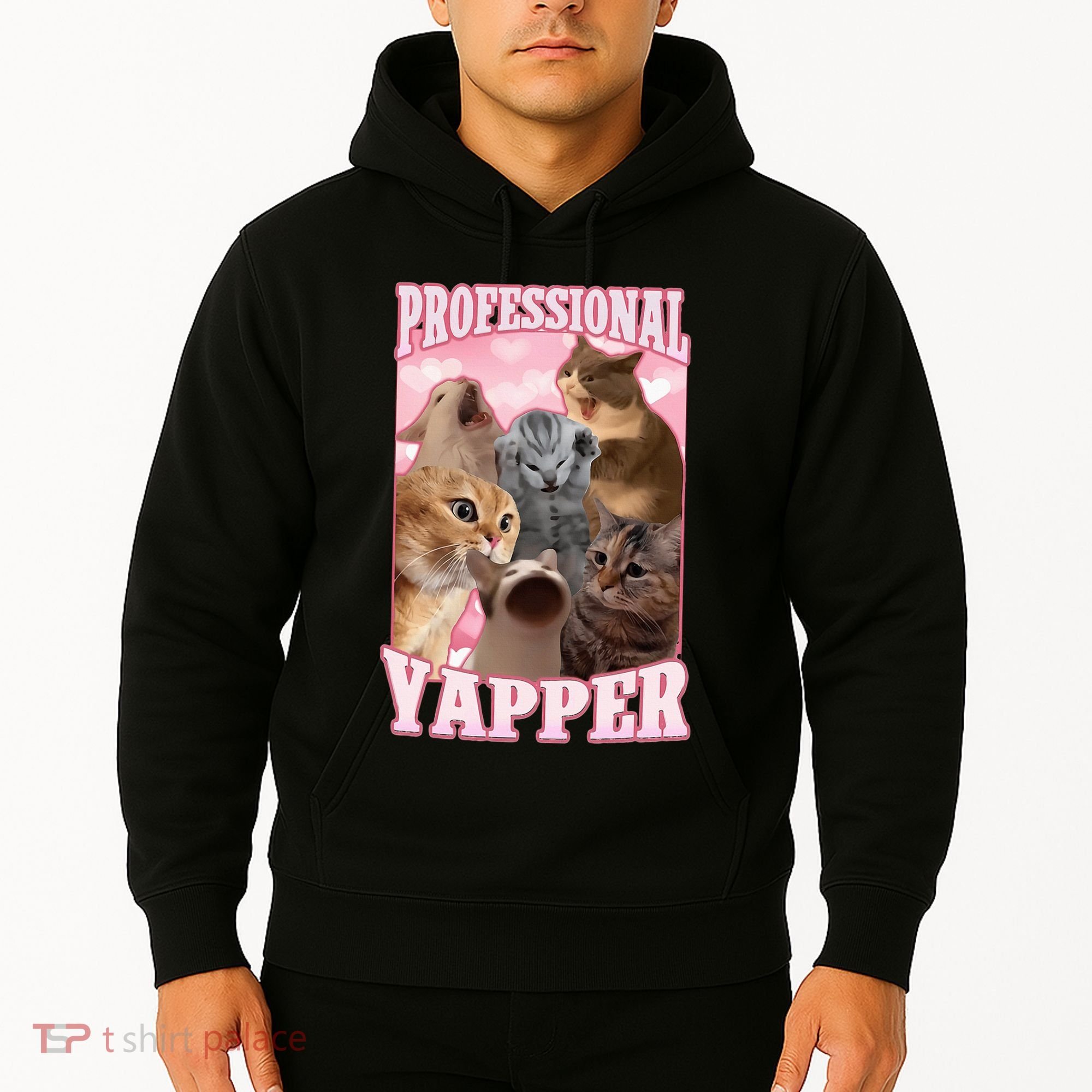 Professional Yapper Funny Cat Meme Goofy Ahh Ironic Cat Hoodie