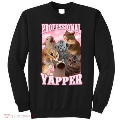 Professional Yapper Funny Cat Meme Goofy Ahh Ironic Cat Sweatshirt