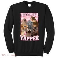 Professional Yapper Funny Cat Meme Goofy Ahh Ironic Cat Sweatshirt thumb 0