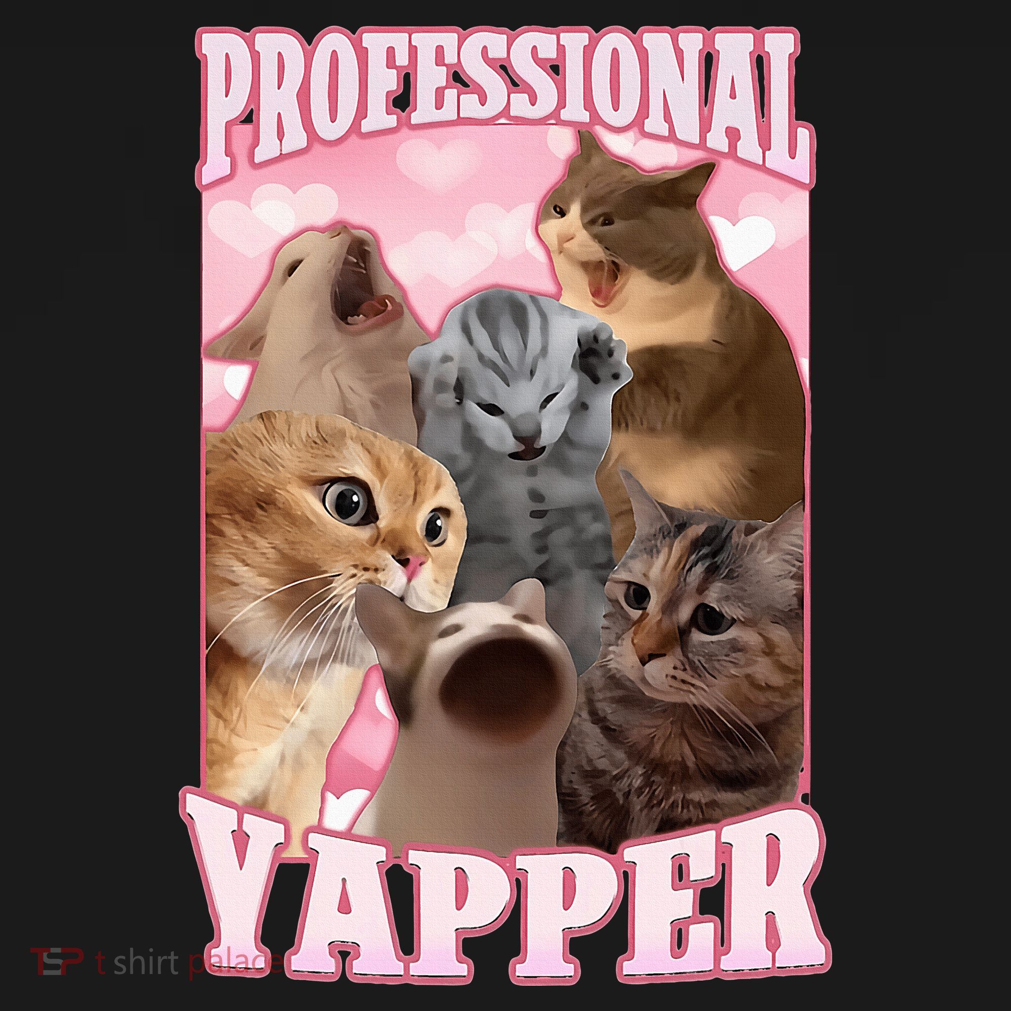 Professional Yapper Funny Cat Meme Goofy Ahh Ironic Cat Kids Sweatshirt