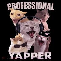 Professional Yapper Funny Cat Meme Goofy Ahh Ironic Cat Coaster thumb 2