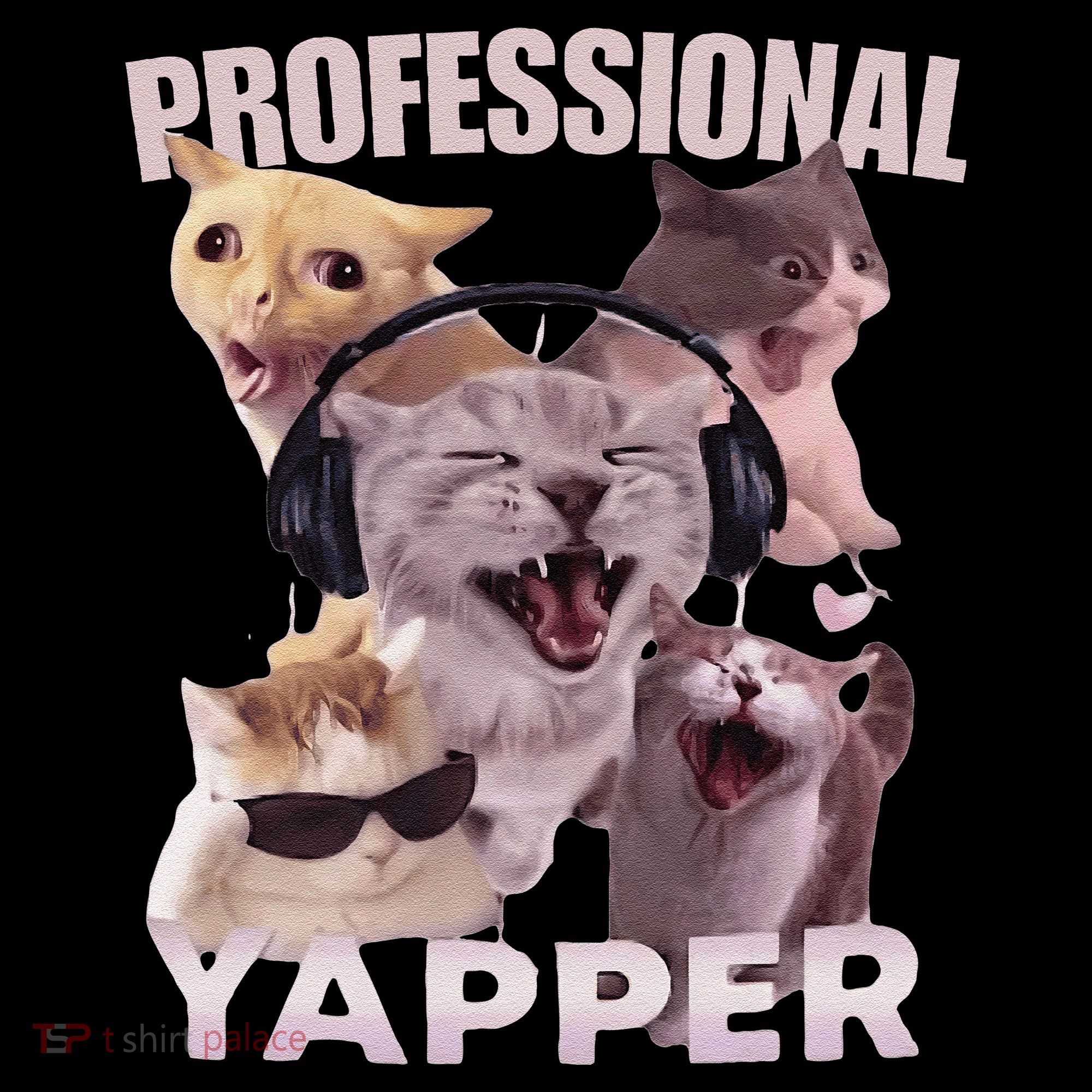 Professional Yapper Funny Cat Meme Goofy Ahh Ironic Cat Ornament