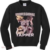 Professional Yapper Funny Cat Meme Goofy Ahh Ironic Cat Kids Sweatshirt thumb 0