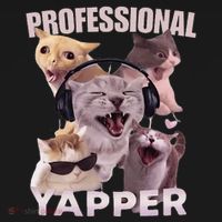 Professional Yapper Funny Cat Meme Goofy Ahh Ironic Cat Tote Bag thumb 4