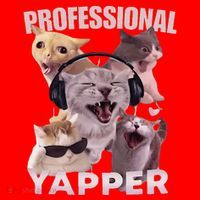 Professional Yapper Funny Cat Meme Goofy Ahh Ironic Cat Santa Hat thumb 1