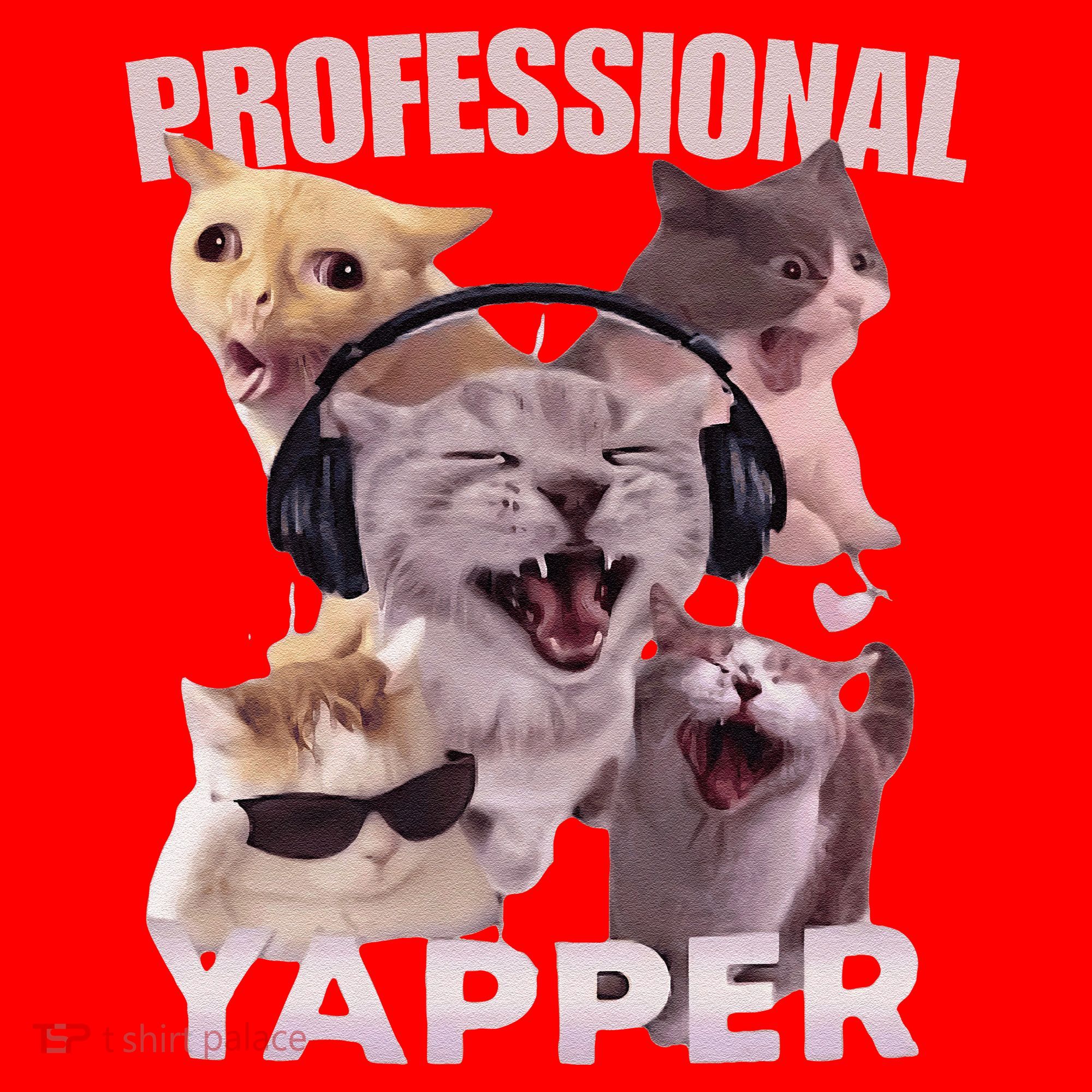 Professional Yapper Funny Cat Meme Goofy Ahh Ironic Cat Santa Hat