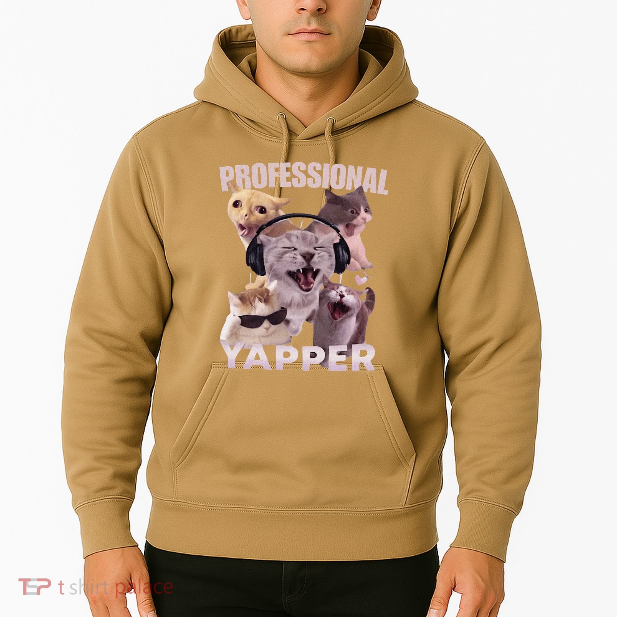 Professional Yapper Funny Cat Meme Goofy Ahh Ironic Cat Hoodie
