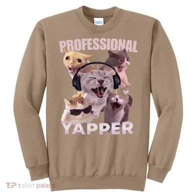 Professional Yapper Funny Cat Meme Goofy Ahh Ironic Cat Sweatshirt