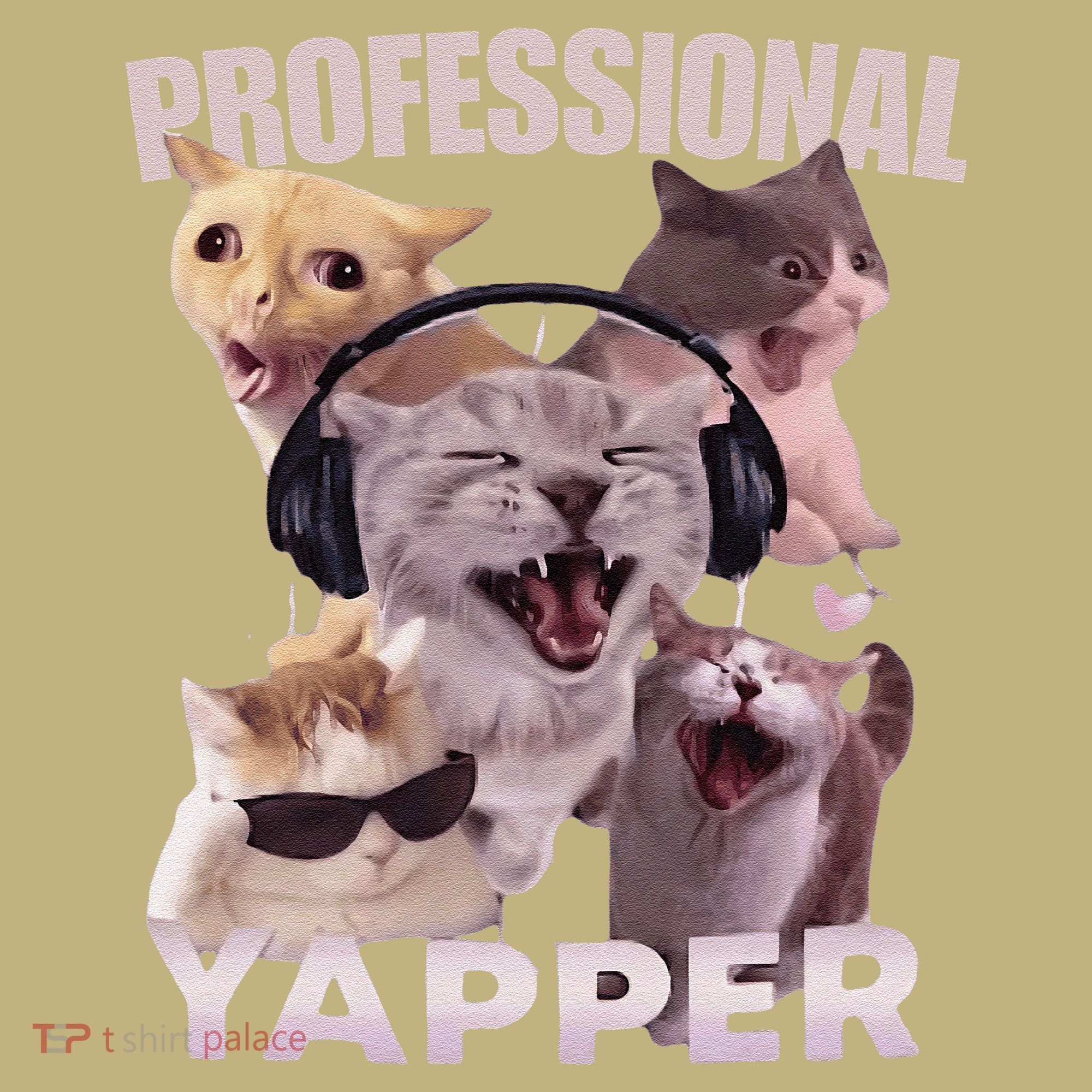 Professional Yapper Funny Cat Meme Goofy Ahh Ironic Cat Sweatshirt