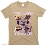 Professional Yapper Funny Cat Meme Goofy Ahh Ironic Cat T-Shirt thumb 0