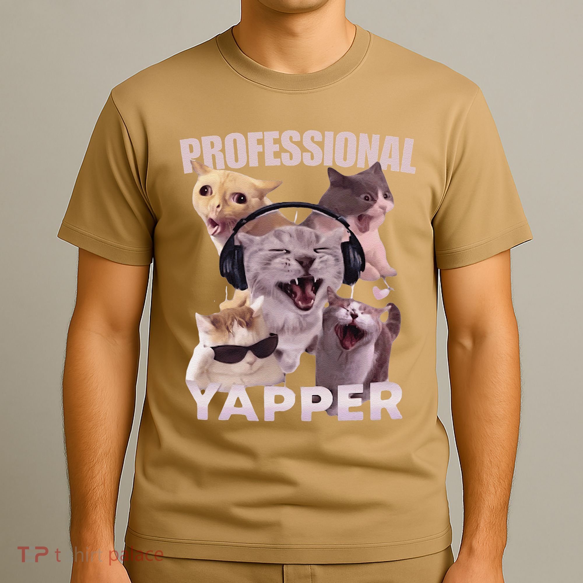 Professional Yapper Funny Cat Meme Goofy Ahh Ironic Cat T-Shirt