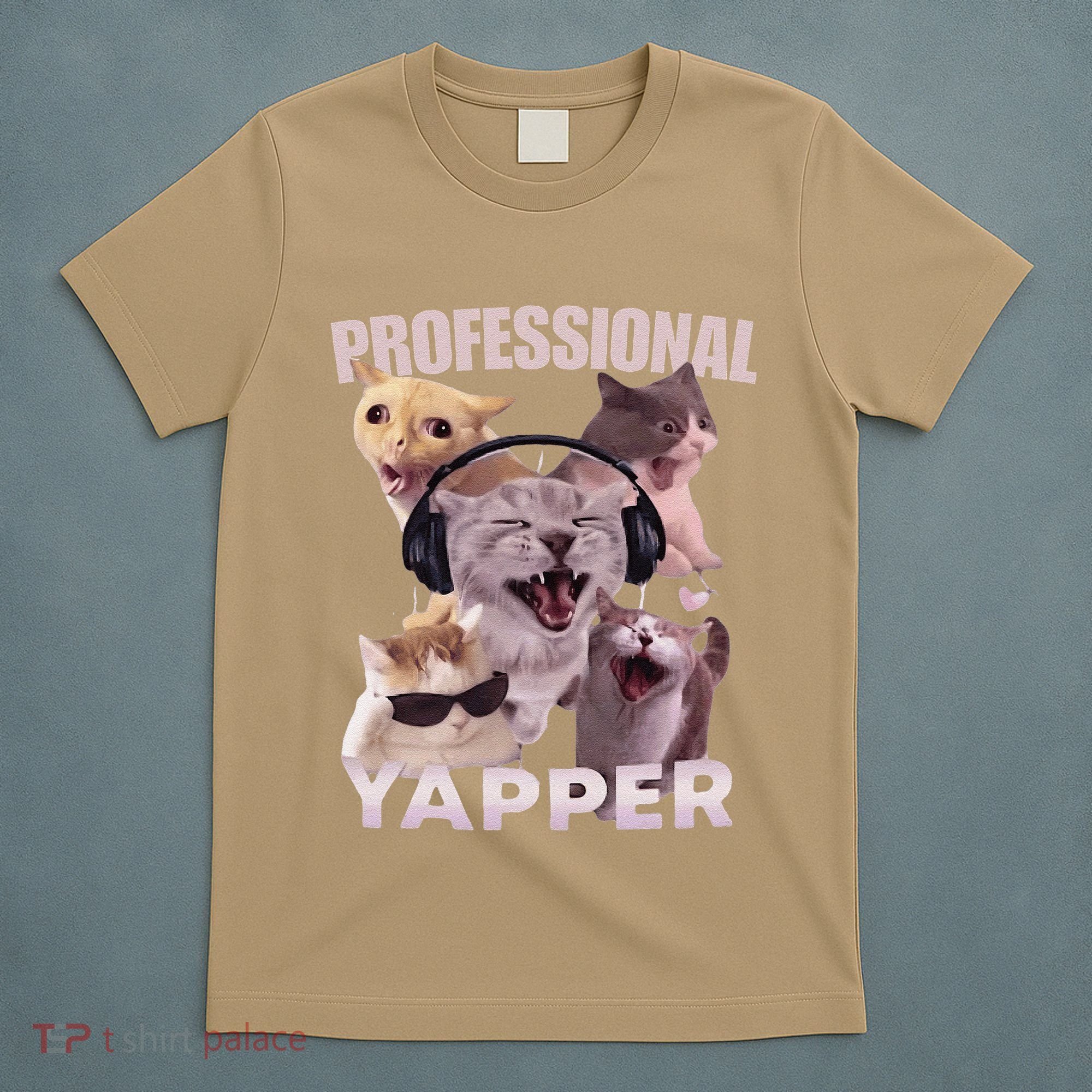 Professional Yapper Funny Cat Meme Goofy Ahh Ironic Cat T-Shirt