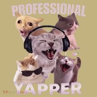 Professional Yapper Funny Cat Meme Goofy Ahh Ironic Cat Button thumb 1