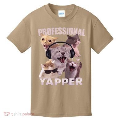 Professional Yapper Funny Cat Meme Goofy Ahh Ironic Cat Kids T-Shirt