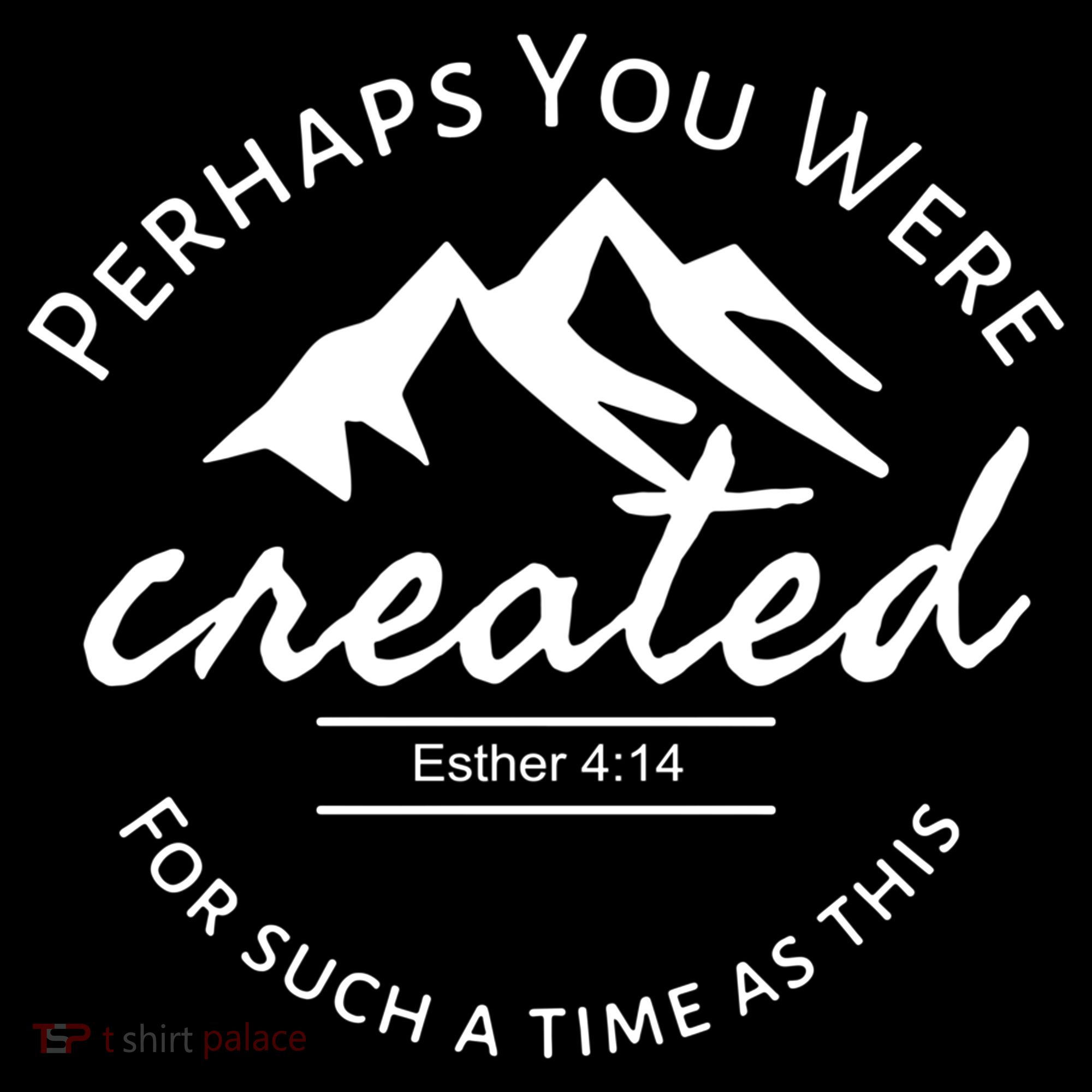 Perhaps You Were Created For Such A Time As This Esther 4 14 Great Gift Youth Performance Sprint T-Shirt