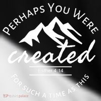 Perhaps You Were Created For Such A Time As This Esther 4 14 Great Gift Toddler Fine Jersey T-Shirt thumb 2