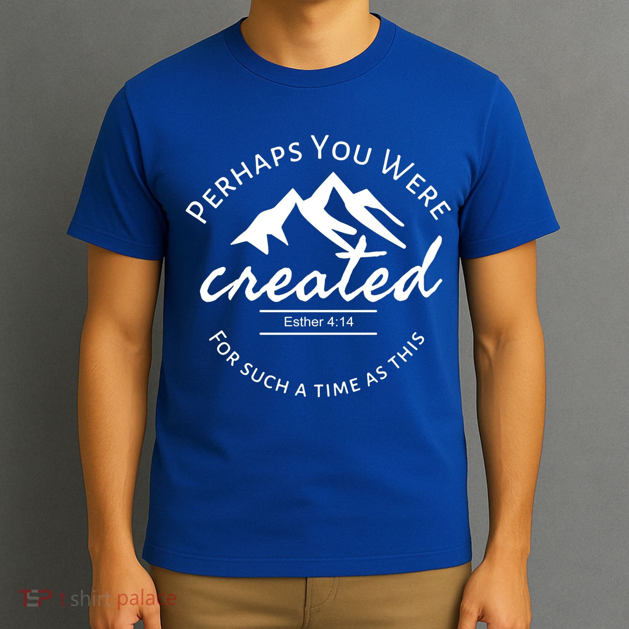 Perhaps You Were Created For Such A Time As This Esther 4 14 Great Gift T-Shirt