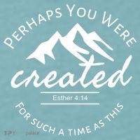 Perhaps You Were Created For Such A Time As This Esther 4 14 Great Gift Sueded Cloud Jersey T-Shirt thumb 2