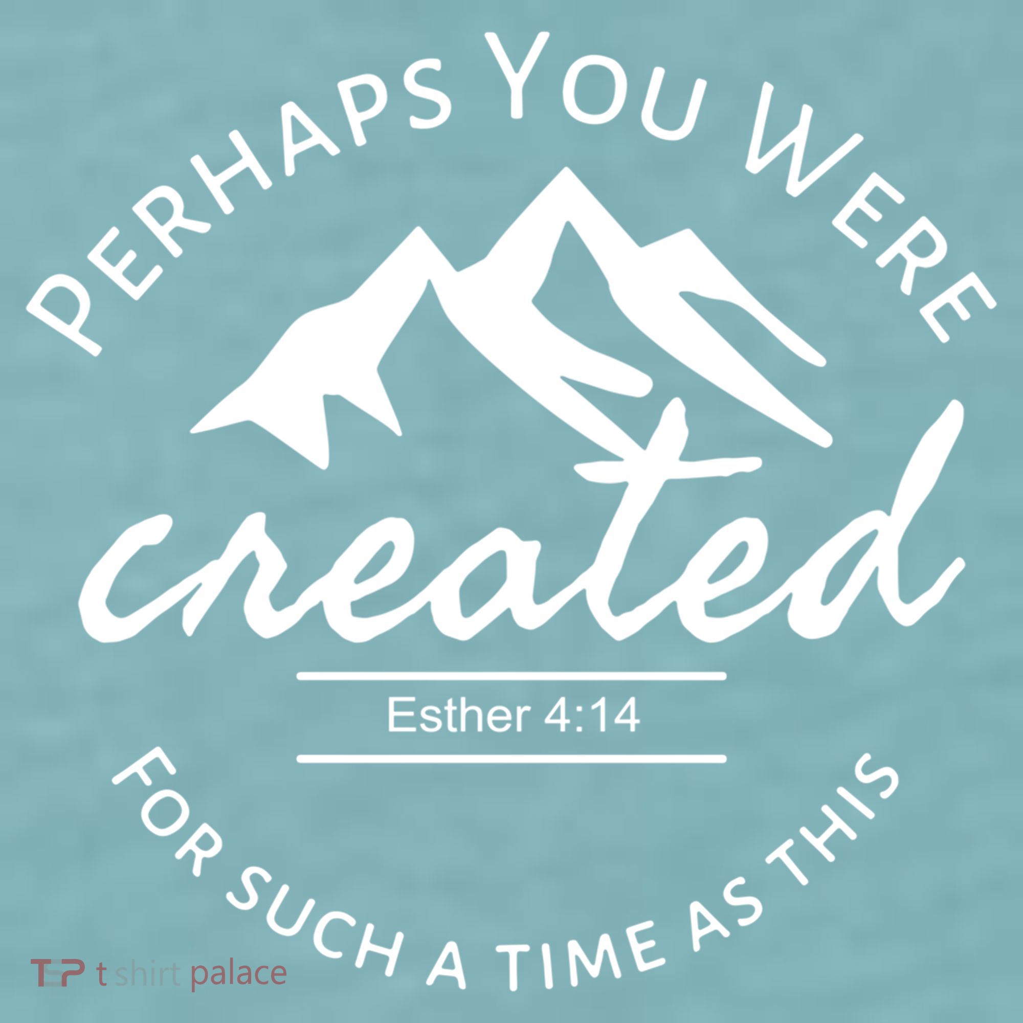 Perhaps You Were Created For Such A Time As This Esther 4 14 Great Gift Sueded Cloud Jersey T-Shirt