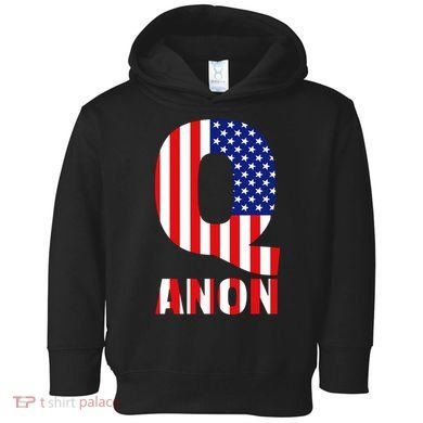 Q Anon Patriotic USA Flag Toddler Hoodie