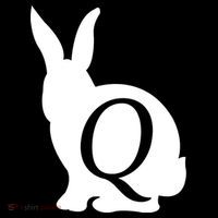 Q-anon Rabbit Logo Long Sleeve Shirt thumb 2