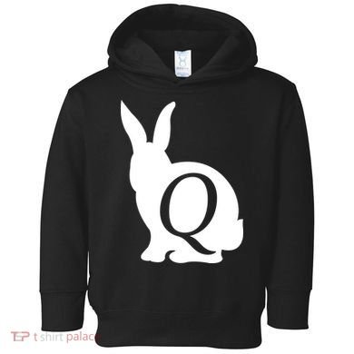 Q-anon Rabbit Logo Toddler Hoodie