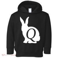 Q-anon Rabbit Logo Toddler Hoodie thumb 0