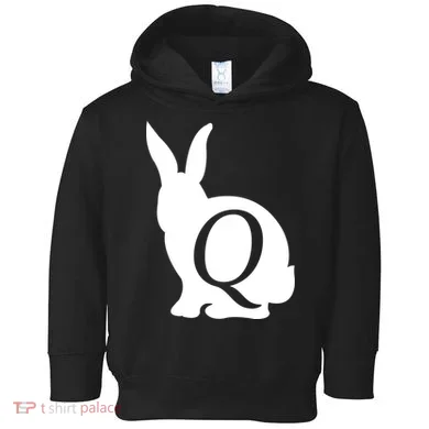 Q-anon Rabbit Logo Toddler Hoodie