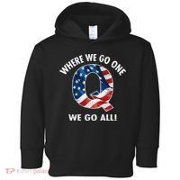 Q Anon Where We Go One We Go All  Toddler Hoodie thumb 0