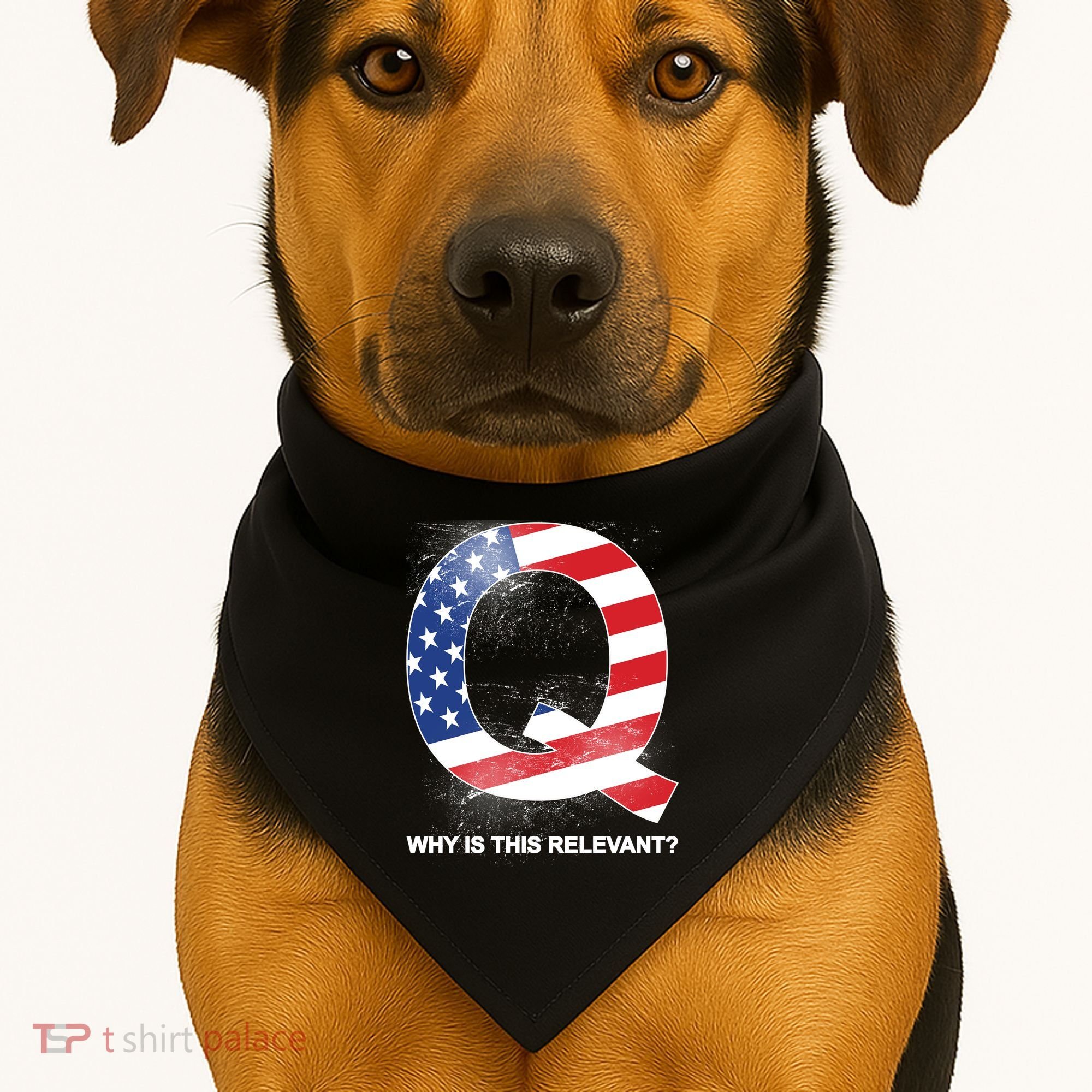 Q Anon Why Is this Relevant USA-Made Doggie Bandana