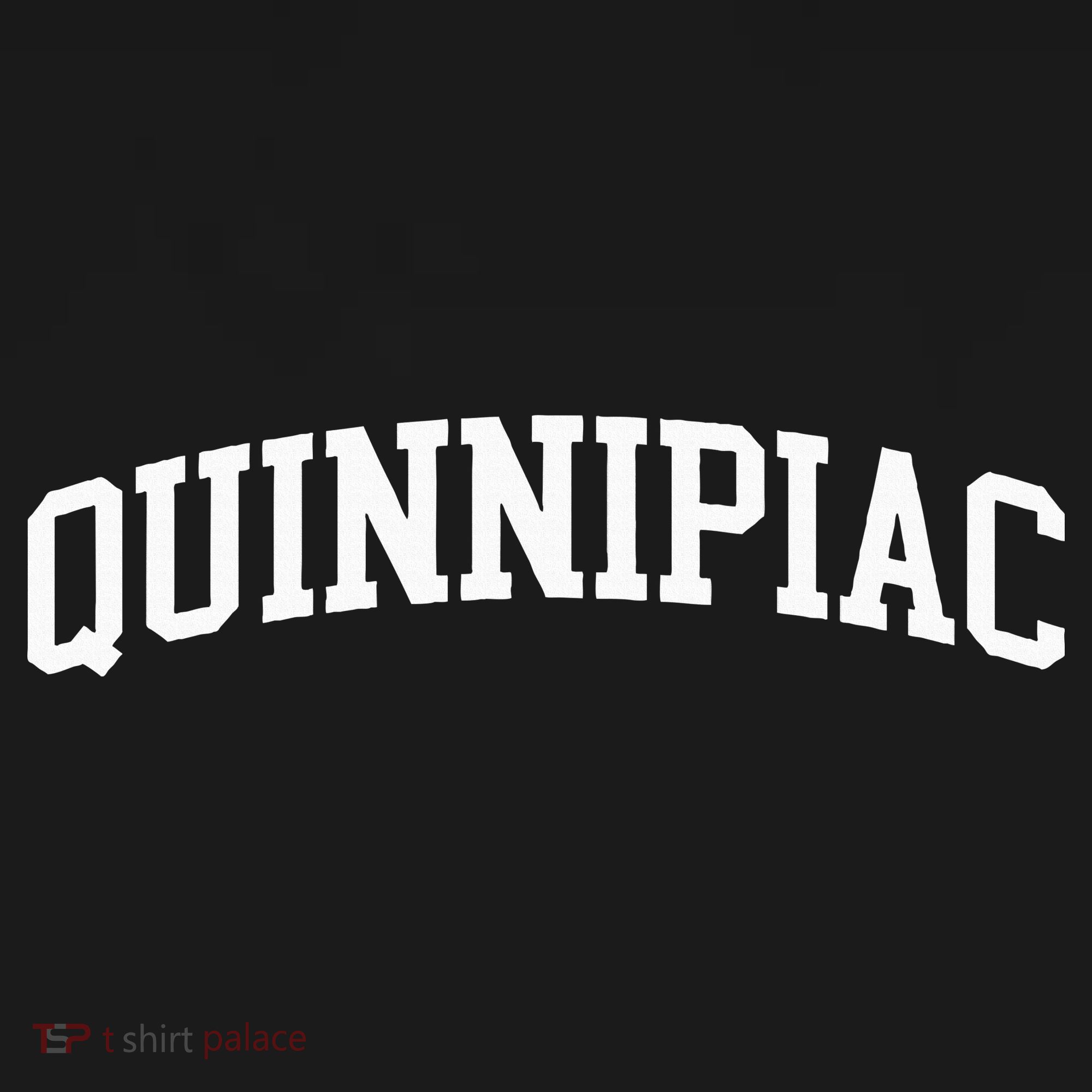 Quinnipiac Arch Vintage Retro College T-Shirt