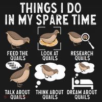 Quail Bird Lover Things I Do In My Spare Time Quail Women's Hoodie thumb 2