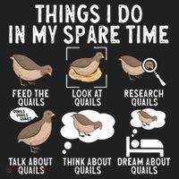 Quail Bird Lover Things I Do In My Spare Time Quail Tumbler thumb 3