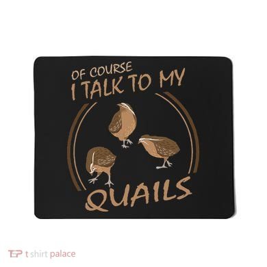 Quail Bird Lover Gift Just A  Who Loves Quails Mousepad